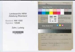 Entnazifizierung Ludwig Zahn, geb. 02.10.1890 (Techn.Angest.)
