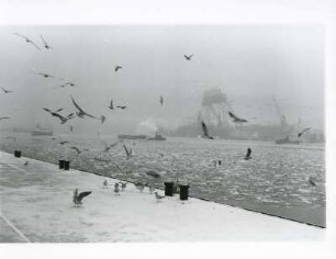 Hamburg. Der Hafen der Freien und Hansestadt im Winter. Schnee liegt auf den Kaianlagen. Das Hafenbecken ist vereist. Möwen haben es schwer Futter zu finden