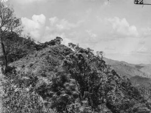 Landschaft : Blick von einer Anhöhe in das bewaldete Tal und auf die bergige Umgebung