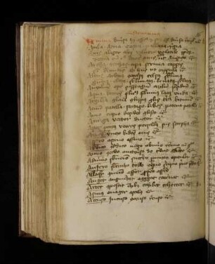Registrum libri de synonymis. Synonima.