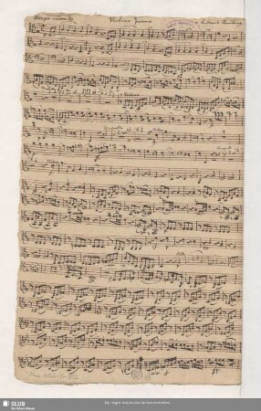 Violino primo
