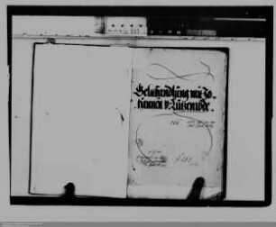 . Geldgeschäfte des Grafen Johann VI. von Nassau-Dillenburg: Band 3