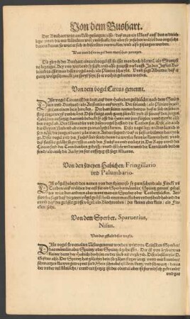 Von dem Sperber. Sparverius, Nisus.