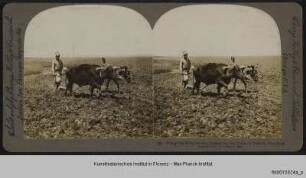 Bauer beim Pflügen