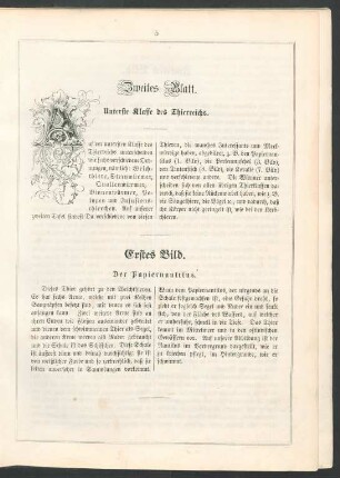 Zweites Blatt. Unterste Klasse des Thierreichs.