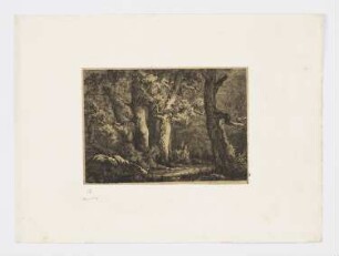 Kleiner Wald