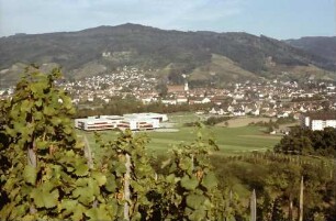 Oberkirch: Stadt von Butschbach: Hintergrund Schauenburg