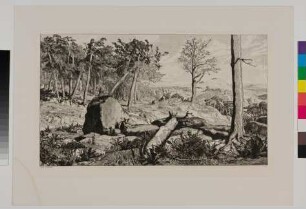 Simplicius in der Wald-Einöde; Intermezzi Blatt 10