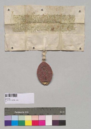 Bischof Johann von Passau gewährt wie seine Vorgänger Bernhard, Albert [II.], Gottfried und Albert [III.] dem Kloster Metten Mautfreiheit für alle auf der Donau von Österreich durch Passau geführten Lebensmittel auf Lebenszeit.;. S: Bischof Johann von Passau