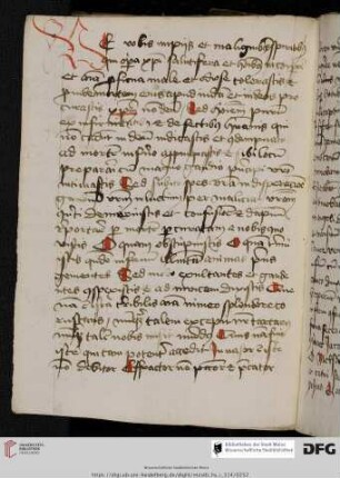 Berthold der Bruder, Horologium devotionis circa vitam Christi