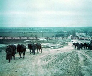 Kolonne von Wehrmachtssoldaten in winterlicher Landschaft