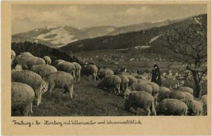 "Hirzberg mit Littenweiler und Schwarzwaldblick"