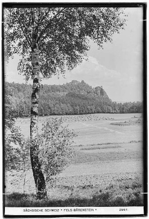 Fels Bärenstein. Sächsische Schweiz