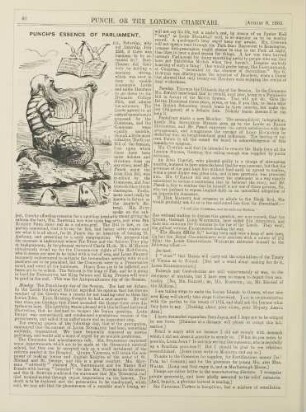 Punch's essence of parliament