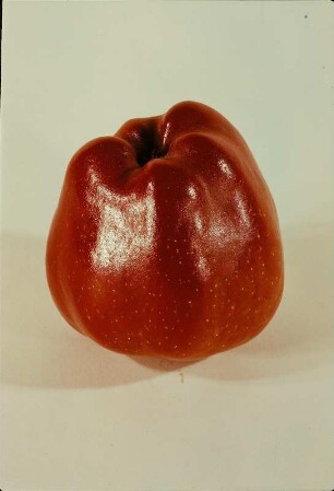 Äpfel