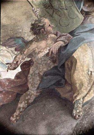 Triumph des Hauses Österreich