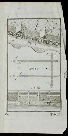 Tab. IV. fig. 14 - fig. 16