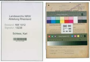 Entnazifizierung Karl Schless , geb. 03.04.1908 (Techniker)