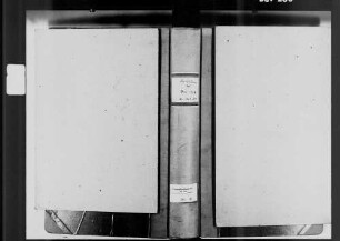 Sindolsheim, evangelische Gemeinde: Standesbuch 1808-1827