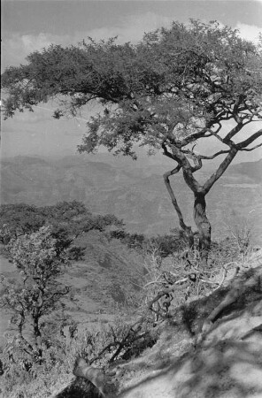 Abfall des Simien Gebirges : Blick von der Bergstraße auf den Abfall des Simien Gebirges bei Debark.
