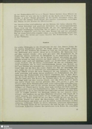 Tauben