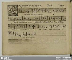 XVI. Vae nobis quia peccavimus