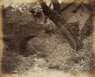 Vordergrundstudie: Terrain mit Wurzeln und Stämmen: Verfallene Brücke mit Nussbaumstamm