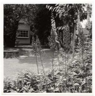 Garten Dr. Bahr: Blick zum Haus