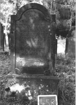 Grabstein 458 (Index: 99895614) Material: Sandstein Zustand: leich verwittert und bewachsen Maße HxBxT: 140x63x9 cm Beschreibung: Stele mit eingezogenem Rundbogenabschluss; Sockel: Grabstein 458 (1)