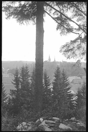 Neuhausen. Blick auf Schloss Purschenstein