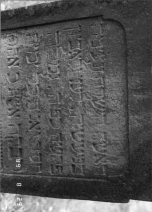 Grabstein 398 (Index: 100107888) Material: heller Sandstein Zustand: verwittert, stark versalzen Maße HxBxT: 125x67x18 cm Beschreibung: Stele mit geschwungen eingezogenem Rundbogenabschluß, Schriftfeld rechteckig eingezogen: Grabstein 398A