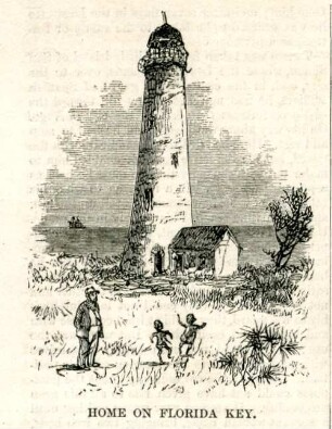 Home on Florida Key : Tweed geht vor einem Leuchtturm spazieren