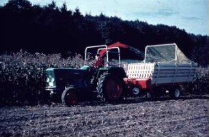 Fotografie: Erntetechnik, Silomais, Maishäcksler angebaut, Ladewagen