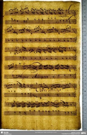 W-Dl-266 Doppelkreis (Inhalt unklar)