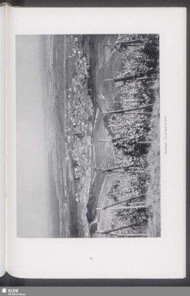 Dambach
