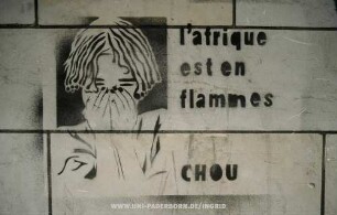 l'afrique est en flammes | CHOU