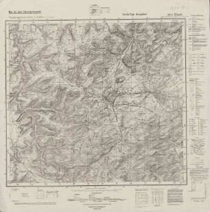 6910 (alte Nr.: 3570) Bitsch, Topographische Karte 1:25000 (4cm - Karte)