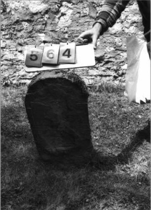 Grabstein 564 (Index: 99789098) Material: Sandstein Zustand: verwittert mit vollständigem Textverlust Maße HxBxT: 66x32x8 cm Besonderheit: Kindergrab: Grabstein 564