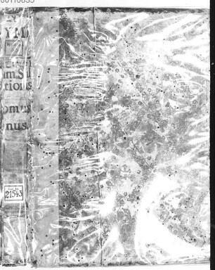Speculum Mariae et Speculum humanae salvationis, coniuncta in unum - BSB Clm 21543