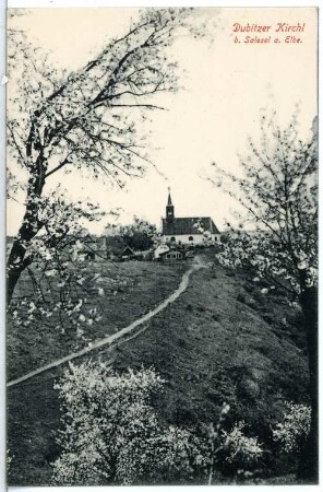 Dubitz. Baumblut am Dubitzer Kirchl bei Salesel Dolni Zalezly) an der Elbe