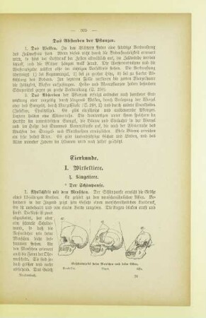 Tierkunde