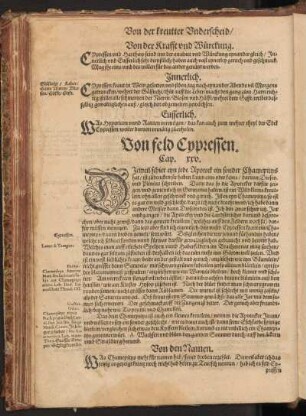 Von feld Cypressen, Cap. XXV