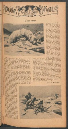 El oso blanco : Páginas infantiles
