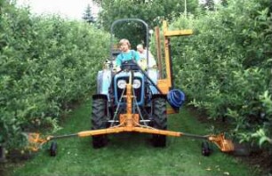 Fotografie: Obstbau, Bodenpflege