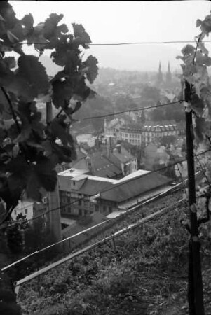 Freiburg: Stiftungsverwaltung; vom Schlossberg durch Reben, auf Stadtteil Wiehre