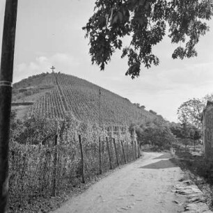 Rheinbreitbach, Weg zum Weinberg, im Hintergrund das Koppelkreuz