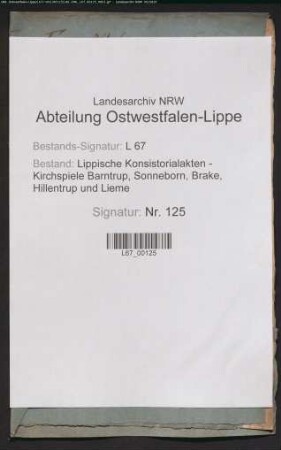 Reparatur des Schulhauses (Neubau)