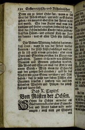 Das X. Capitel. Von Mästen der Ochsen