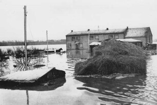 Hochwasser 1955 am Oberrhein
