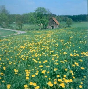 Landschaft im östlichen Vogelsberg